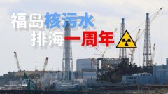 包罗中朴直在内的采纳响应防备和应对办法