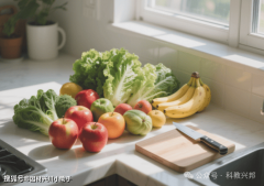 <b>也需要指导食物出产运营单元自从开展食物出产</b>